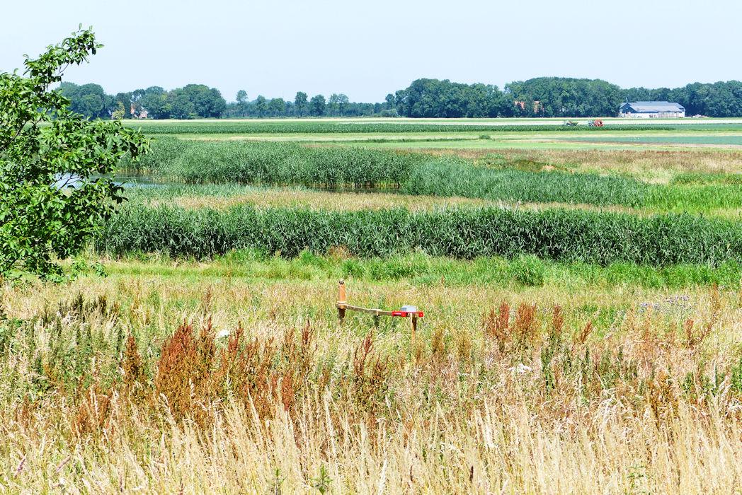 6-Art-on-Schokland-2019-Dichter-op-het-land-tredmolen-1