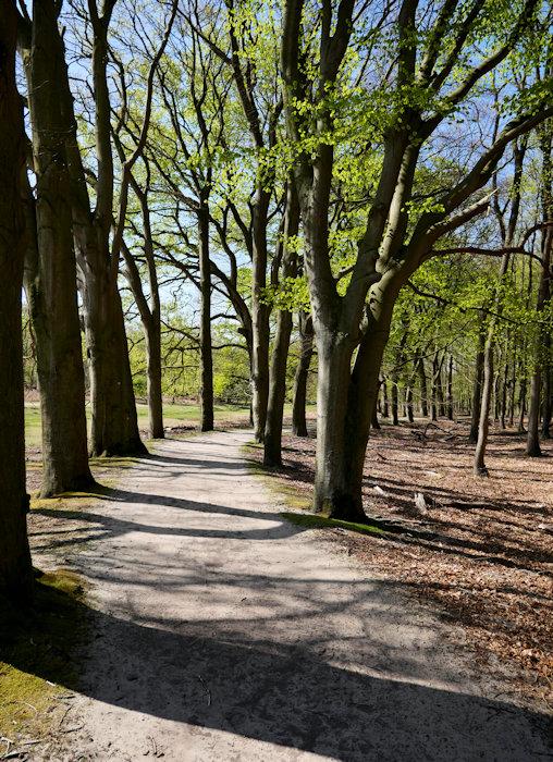 amsterdam water supply dunes 2022 old lane