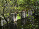 the discovery of the dutch hydrology woods 2008 - 10