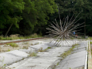 art in the dutch hydrology woods 2008 - 14