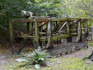 the discovery of the dutch hydrology woods 2008 - 11