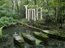 art in the dutch hydrology woods 2008 - 15