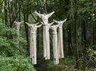 art in the dutch hydrology woods 2008 - 16