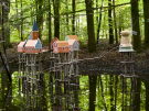 art in the dutch hydrology woods 2008 - 17