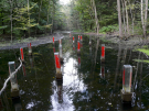 art in the dutch hydrology woods 2008 - 18