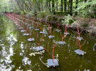 art in the dutch hydrology woods 2008 - 19