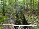 the discovery of the dutch hydrology woods 2008 - 14