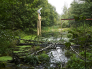 art in the dutch hydrology woods 2008 - 21