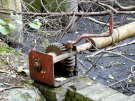 the discovery of the dutch hydrology woods 2008 - 16