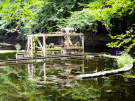 the discovery of the dutch hydrology woods 2008 - 19