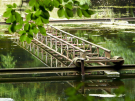 the discovery of the dutch hydrology woods 2008 - 20