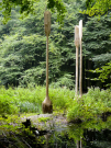 art in the dutch hydrology woods 2008 - 24