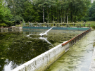 art in the dutch hydrology woods 2008 - 25