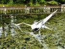 art in the dutch hydrology woods 2008 - 26