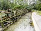 the discovery of the dutch hydrology woods 2008 - 21