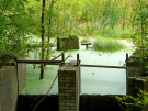 the discovery of the dutch hydrology woods 2008 - 02