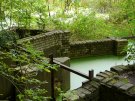 the discovery of the dutch hydrology woods 2008 - 01