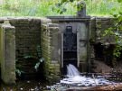 the discovery of the dutch hydrology woods 2008 - 04