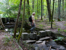 the discovery of the dutch hydrology woods 2008 - 05