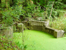 the discovery of the dutch hydrology woods 2008 - 06