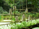 art in the dutch hydrology woods 2008 - 07