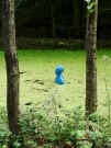 art in the dutch hydrology woods 2008 - 09