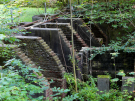 the discovery of the dutch hydrology woods 2008 - 08
