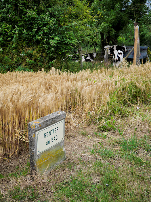 le-sentier-du-bac-montreuil-sur-mer-1 sign of the sentier du bac