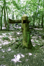 10-Art-on-Schokland-2019-Dichter-op-het-land-roerboom-1