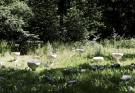 12-Art-on-Schokland-2019-Dichter-op-het-land-kompaddestoelen-1