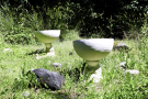 12-Art-on-Schokland-2019-Dichter-op-het-land-kompaddestoelen-2
