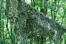 13-Art-on-Schokland-2019-Dichter-op-het-land-visnet-3