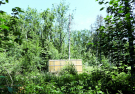 14-Art-on-Schokland-2019-Dichter-op-het-land-boomhut-1