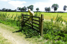 16-Art-on-Schokland-2019-Dichter-op-het-land-overhethek-2