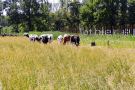 2-Art-on-Schokland-2019-Dichter-op-het-land-Tot-hier-1