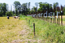 2-Art-on-Schokland-2019-Dichter-op-het-land-Tot hier-2