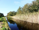 Loosdrecht Lakes Kromme Rade 9