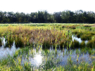 Loosdrecht Lakes Oppad 8