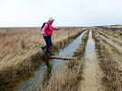 Rita crossing