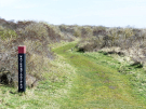 path along the sand dike