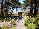 commonwealth military graveyard
