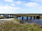 the marshes
