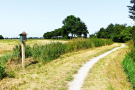 3-Art-on-Schokland-2019-Dichter-op-het-land-Molenklok-1