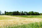 3-Art-on-Schokland-2019-Dichter-op-het-land-Molenklok-2