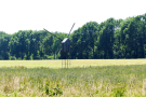 3-Art-on-Schokland-2019-Dichter-op-het-land-Molenklok-4