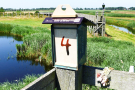 4-Art-on-Schokland-2019-Dichter-op-het-land-Haakwaterplanten-1