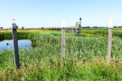 4-Art-on-Schokland-2019-Dichter-op-het-land-Haakwaterplanten-2