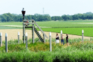 4-Art-on-Schokland-2019-Dichter-op-het-land-Haakwaterplanten-3