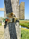 4-Art-on-Schokland-2019-Dichter-op-het-land-Haakwaterplanten-4