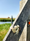 4-Art-on-Schokland-2019-Dichter-op-het-land-Haakwaterplanten-5